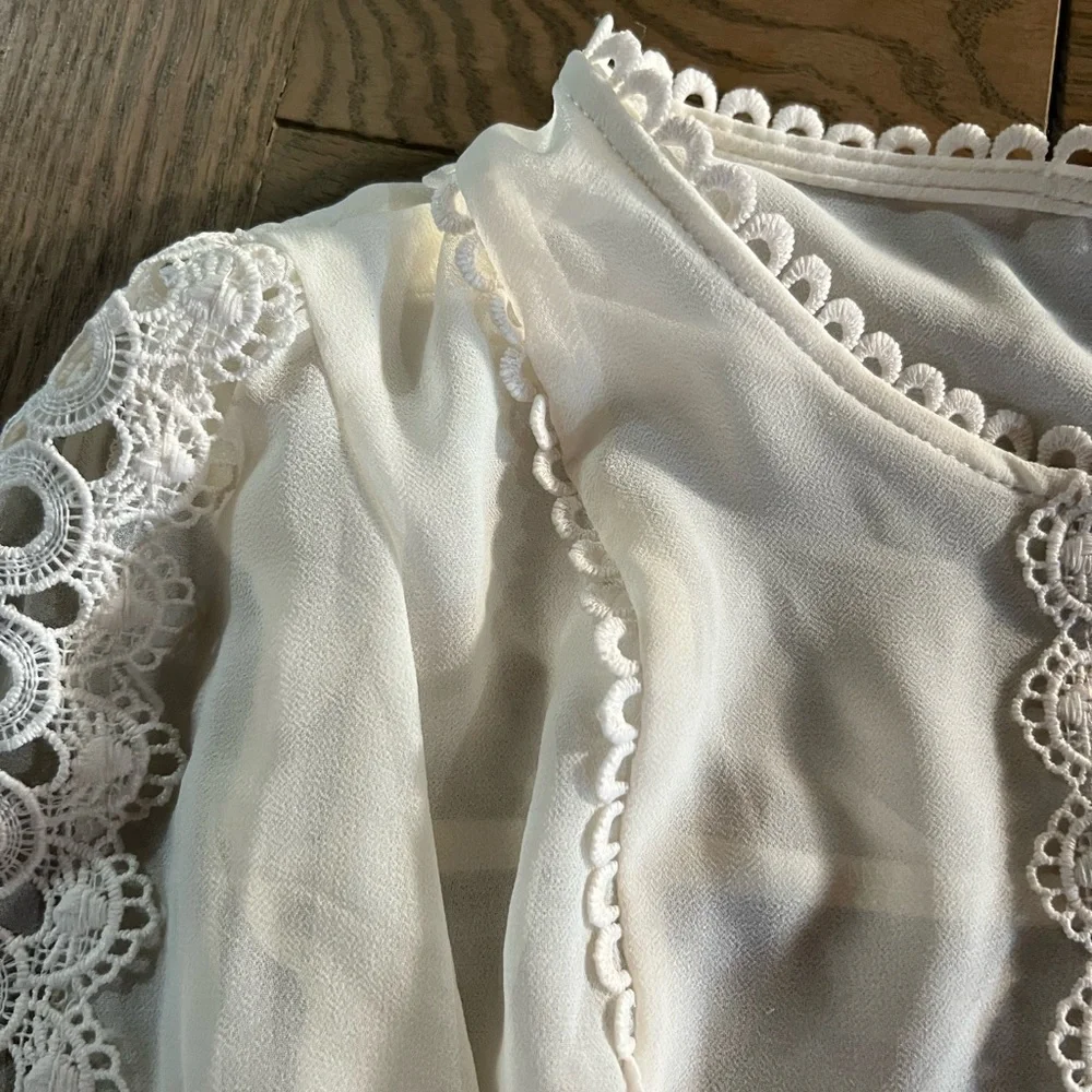 ✅Joie Sheer Detailed Ivory LONG SLEEVE TOP - Picture 6 of 6